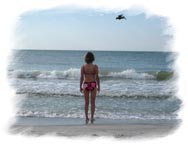 Irmk & Pelican at Sand Key Beach, Clearwater, Florida  (2009)