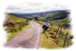 near Donegal Bay, Ireland  (1993)