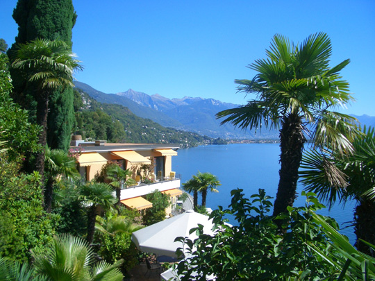Palm Trees in Switzerland  (Sept. 2006)