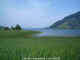Lake Sihl, 30 minutes from Zurich, Switzerland  (June 2006)