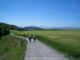 path toward the Alps on meadow-covered plateau (2004)