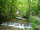 Ron & Irmi on a bridge deep in the forest  (2004)