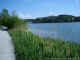 reed-bordered path along Tuerler Lake  (2004)