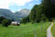 Hills above Wildhaus, Switzerland  (2008)